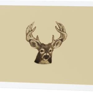 Carte de voeux de cerf et forêt