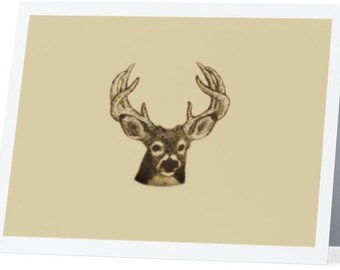 Greeting Card Deer Raccoon Mistaken for Strangers Blank Card Woodland 5x7