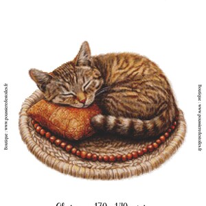 Puede incluir: Patrón de punto de cruz con un gato atigrado durmiendo sobre un cojín naranja, colocado sobre una estera tejida con borde de cuentas. El texto "Chat roux 170 x 140 points" es visible. De Poussière des toiles.