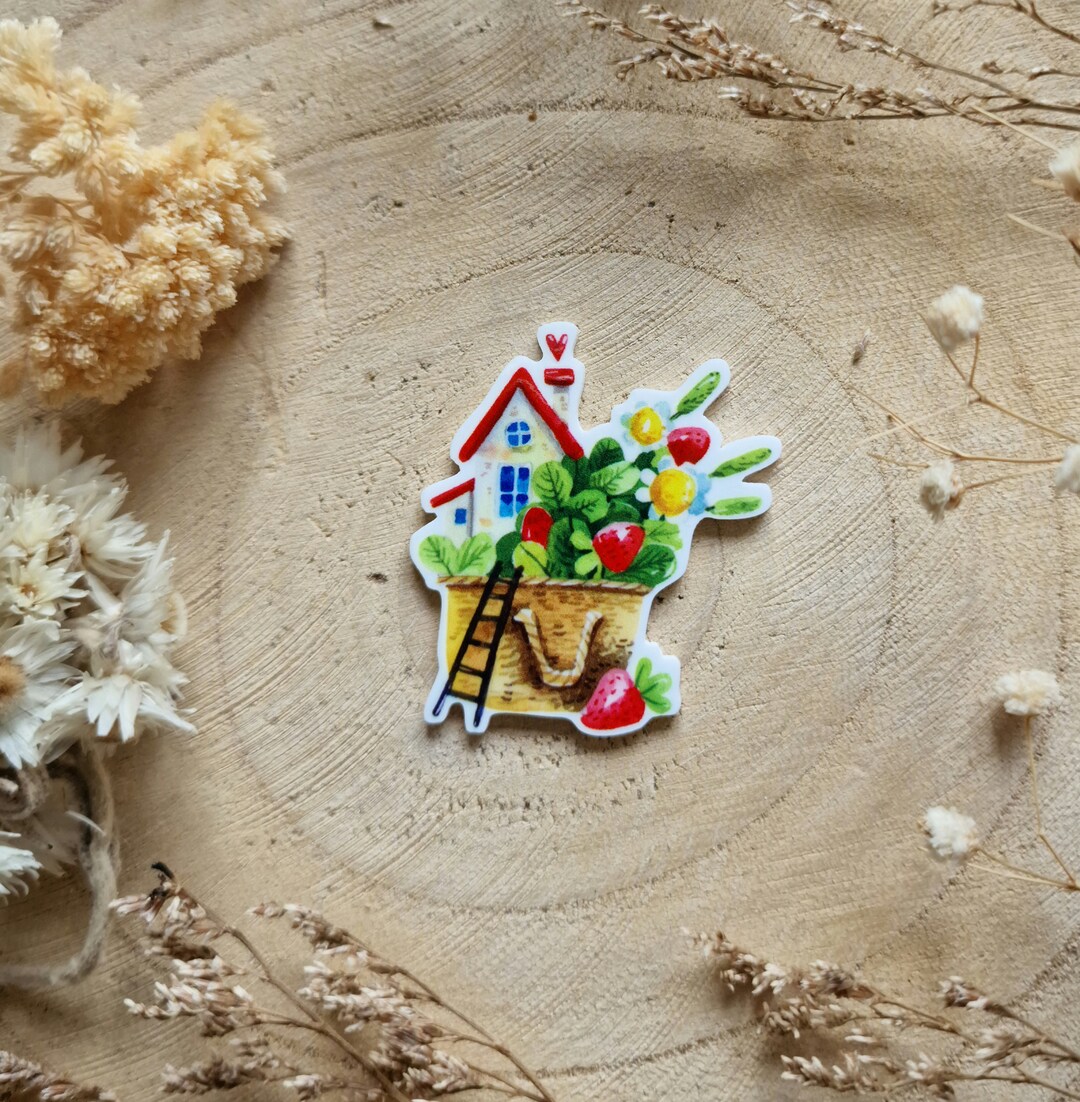 Diyxisk Aimant Frigo, 4 Pièces Pots Magnet Frigo, Intéressant Magnets