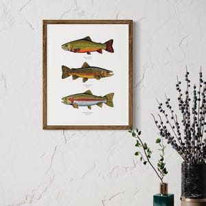 Triple Trout || Color Fine Art Print || Unframed