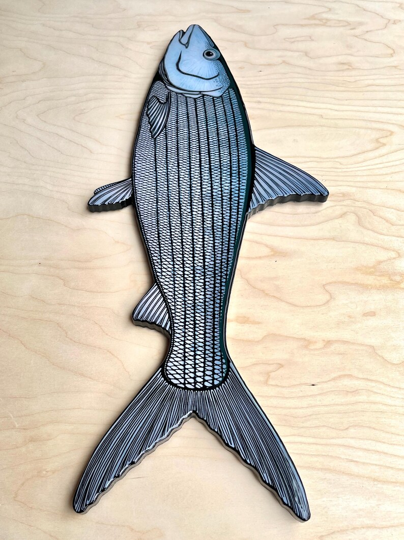 Bonefish || Fish Print Mount Wall Art || Hand Drawn Nautical and ...
