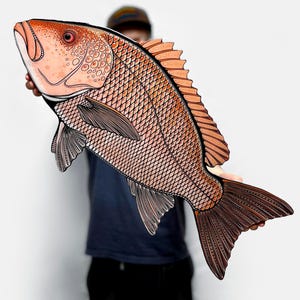 Red Snapper || Fish Print Mount Wall Art || Hand Drawn Nautical And Coastal Artwork By Artist Dylan Stewart