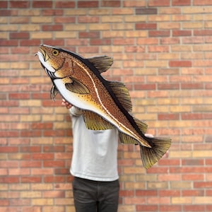 Atlantic Cod || Fish Print Mount Wall Art || Hand Drawn Nautical And Coastal Artwork By Artist Dylan Stewart