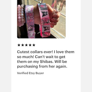 Puede incluir: Dos collares para perros con dise&ntilde;os de personajes de dibujos animados. Uno es rosa con Hello Kitty, el otro rosa con un personaje de gato negro. Una mano sostiene los collares.