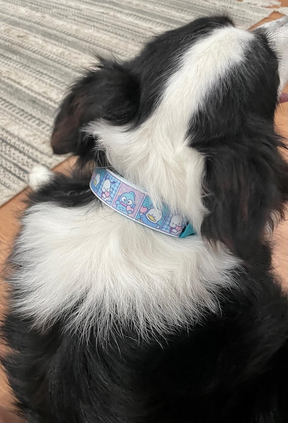 Hundehalsband leuchtend rot Geschenk Anime Fan Cosplay Hundehalsband Leine  ideal Hundeliebhaber Anime Style neue Fell Baby Junge Geschenkidee rotes  Halsband - Etsy.de