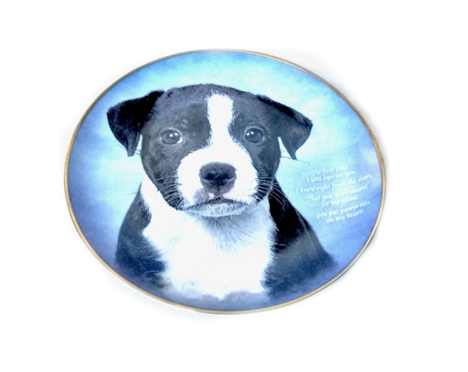 bull terrier / DANBURY MINT / Collectable plate / designed plates / Collectable dog plates / vintage Plate set