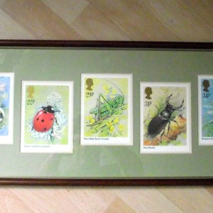 vintage Royal Mail fq card / 1985 Francobolli Insetti / PHQ 82 / menta incorniciato Set / 5 CARTE PHQ / vintage / vintage ufficio postale / vintage