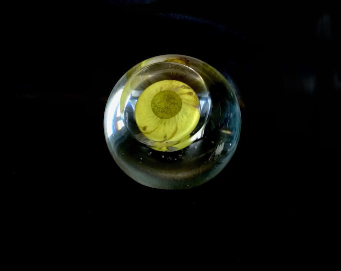 vintage glass paper weight  / vintage cannes  / limited edition / glass paperweight / by Caithness