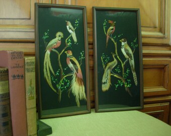 Mexican "Plumaria" Feather Art Framed (pair)