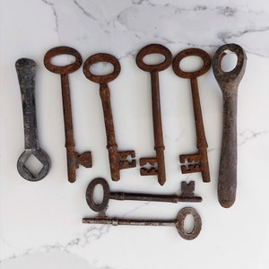 Vintage Rusty Iron Skeleton Keys and Valve Keys Antique Old Patina ...