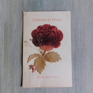 Rarer WWI Sweetheart Postcard &#39;Flowers of France&#39; Circa 1914 to 1918