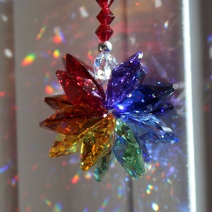 Swarovski Crystal Rainbow Burst Sonnenfänger