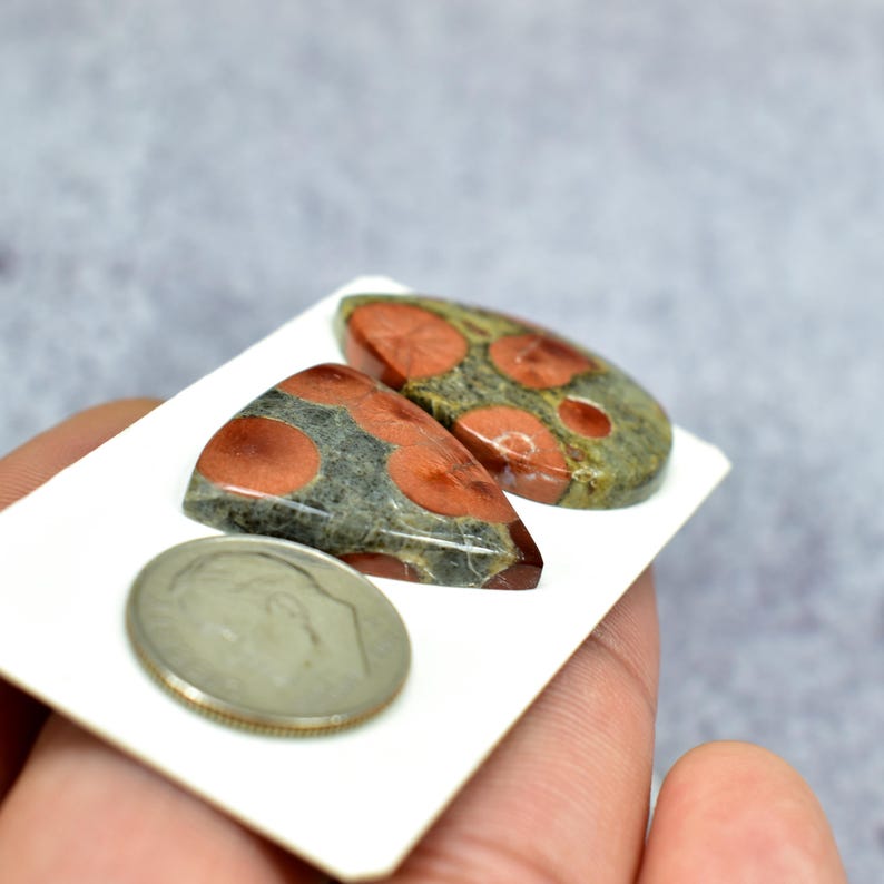 Op de afbeelding: Twee gepolijste edelstenen met een gespikkeld patroon van rood en grijs. E&eacute;n is driehoekig, de andere ovaal. Naast de edelstenen ligt een zilveren munt. De edelstenen liggen op een witte kaart.