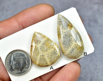 Fossil Coral Cabochons, Natural Fossil Coral, Cabochons for Jewelry, Fossil Coral Gemstone, Fossil Coral Jewelry, Cabochons, Gemstone