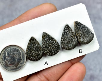 Pares de cabujones de coral negro, piedras preciosas sueltas