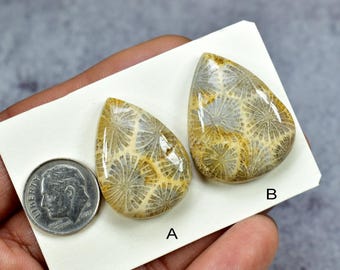Natural Fossil Coral Cabochon, Gemstone Jewelry Making