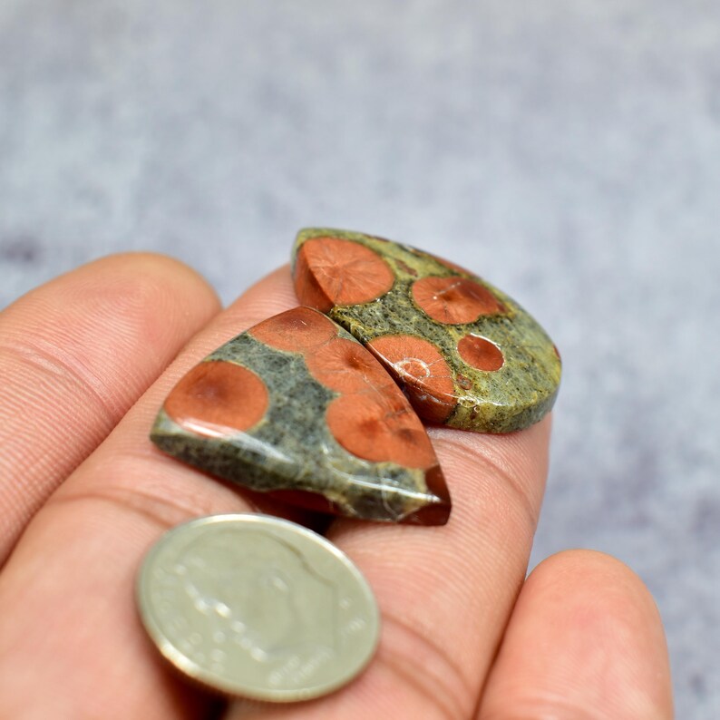 Op de afbeelding: Twee gepolijste edelstenen met een uniek patroon van roodbruine vlekken op een groene en grijze achtergrond. De edelstenen worden in een hand gehouden, met daaronder een munt. De stenen hebben een gladde, glanzende afwerking.