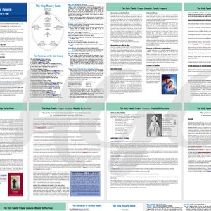 Rosary Virtues Posters & Guide Digital File image 10