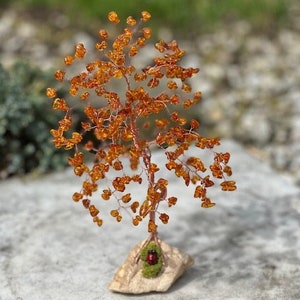 Baltic Amber Tree