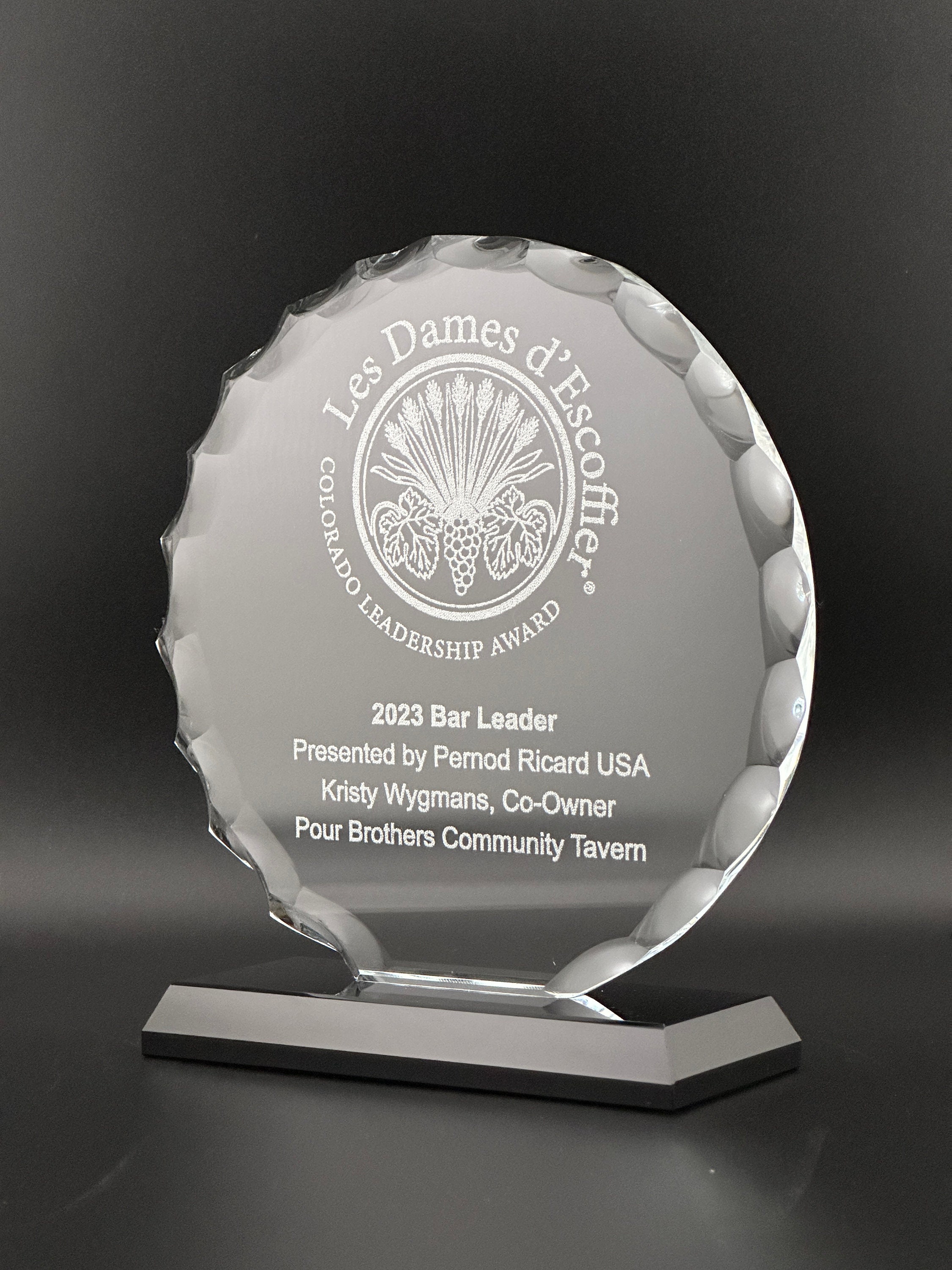 Acrylic Gold Accented Black Deep Set Circle Trophy Award Circle Round  Shaped Acrylic Awards