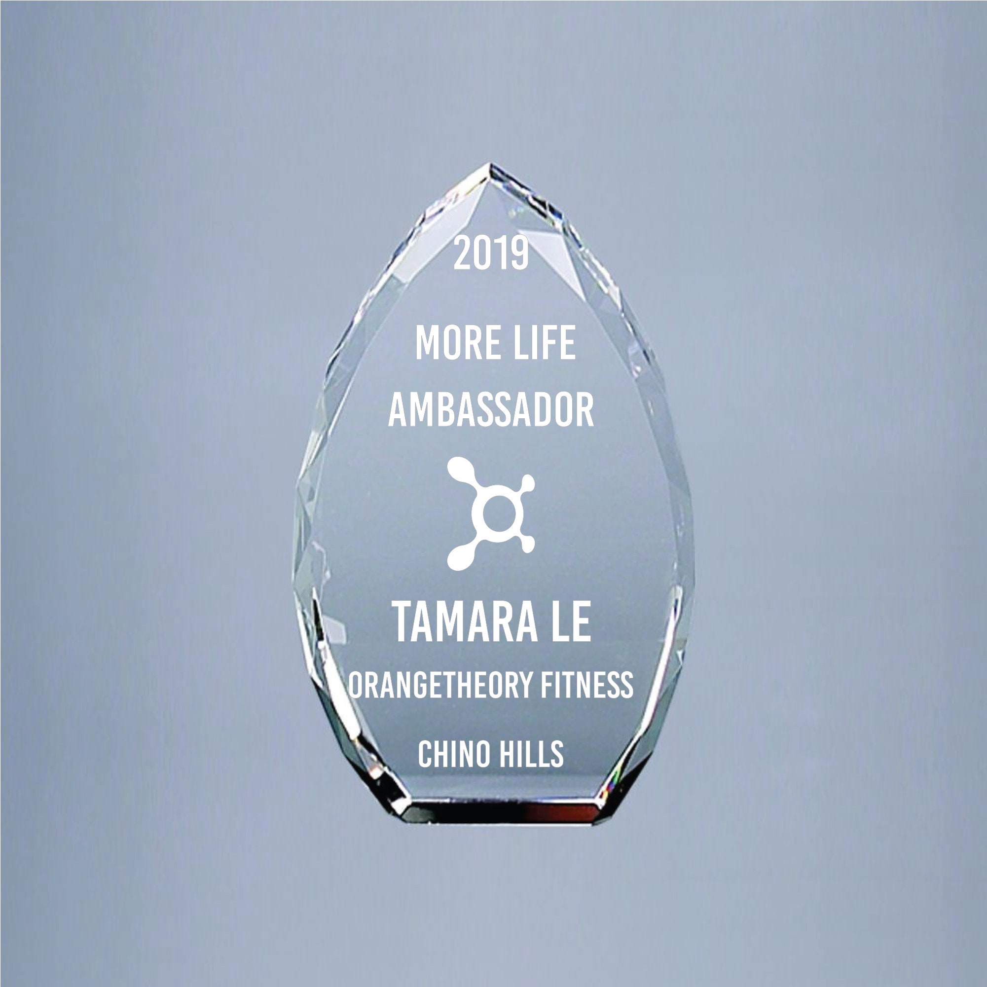 Etched Crystal Award 5 Pointed Etched Award Wholesale Etsy