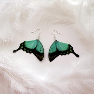 May include: A pair of butterfly wing earrings. Each earring features a teal and black wing design with a silver hook. The earrings are set against a backdrop of white feathers.