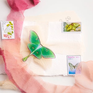 3D Luna Moth Decoration for stationary, Wedding Decoration with 3D Luna Moth, Luna Moth Decor for everyone who loves Moths and Butterflies
