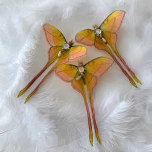 May include: Three moth-shaped ornaments featuring translucent yellow and peach-toned wings with dark vein detailing. Each moth has a central embellishment consisting of a clear faceted crystal, small metallic accents, and a single white teardrop pearl.