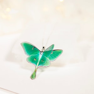Green Lunar Moth Pendant with chain on a white background - Perfect for everyday wear or special occasions