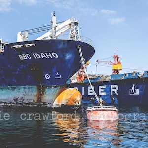 May include: Two large blue cargo ships are docked in the water under a bright blue sky. The ship in the foreground is labeled "BBC IDAHO" in white lettering. A red and white buoy floats in the water.