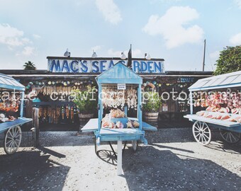 The Florida Keys Key West Mac's Sea Garden Margaret Street Photo Photograph Fine Art Print Photography katiecrawfordphoto