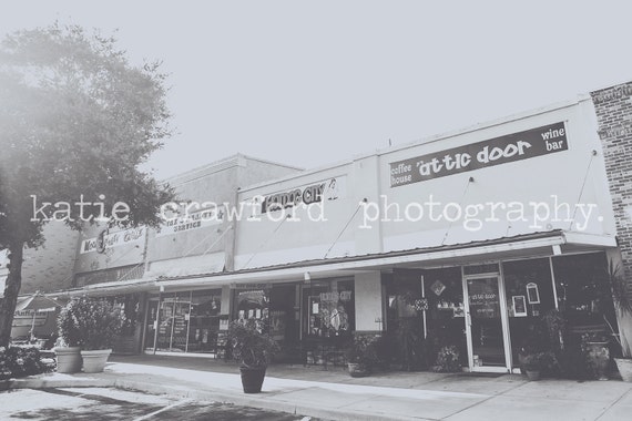 Winter Garden Florida Plant Street Southern View Photograph Fine Art Print Photography Katiecrawfordphoto