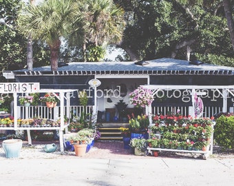 Boca Grande Florida Flowers Historic Downtown Photograph Fine Art Print Photography katiecrawfordphoto