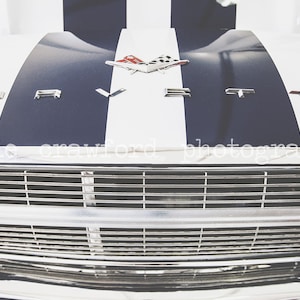 Corvette Vintage Car Photograph Fine Art Print Photography katiecrawfordphoto