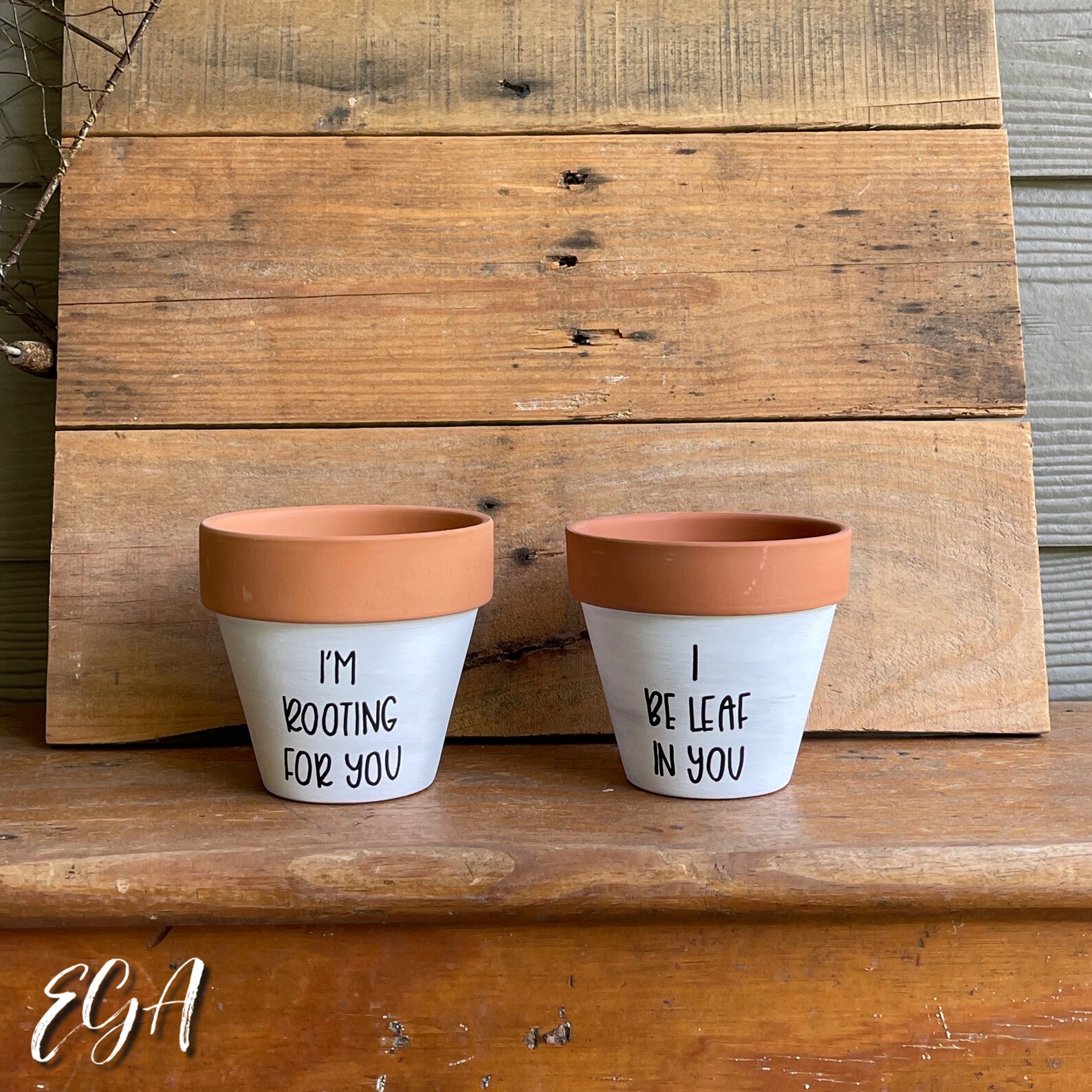 Punny Plant Pots - Etsy