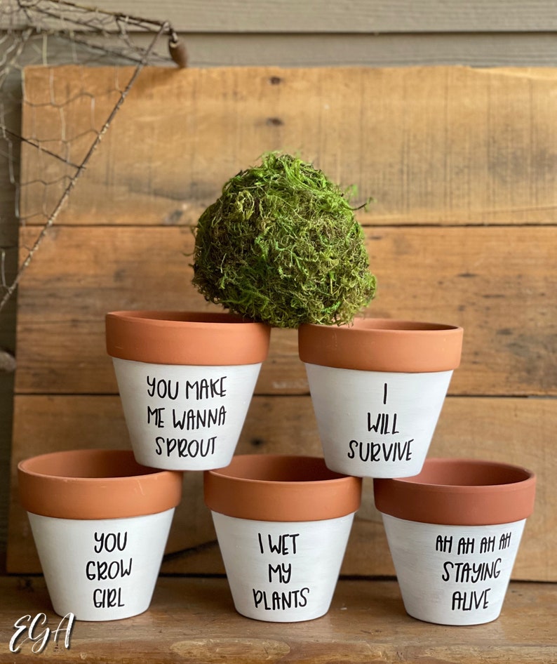 Punny Plant Pots - Etsy