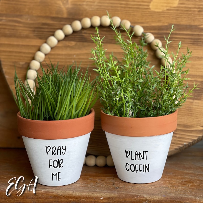 Punny Plant Pots - Etsy