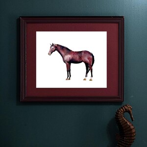 Horse Farmhouse Wall art and decor, art print of a Dapple Bay horse, watercolor print