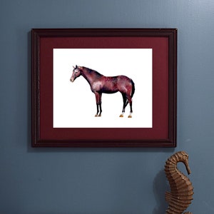 Horse Farmhouse Wall art and decor, art print of a Dapple Bay horse, watercolor print