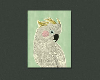 crested cockatoo | tropical parrot | fine art print