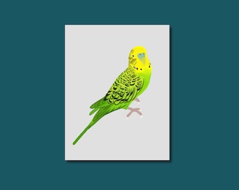 Budgie Illustration Print Digital Download Colorful Bird Wall Art Printable Parrot Painting Parakeet Illustration Budgie Gift Budgerigar