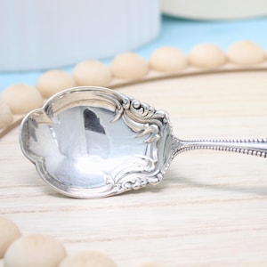 Sugar Shell Spoon, &quot;Canterbury&quot; by Towle