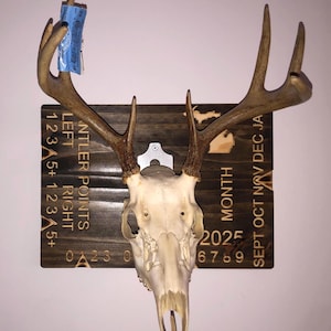 Michigan Kill Tag Euro Plaque