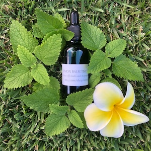 Lemon Balm Tincture