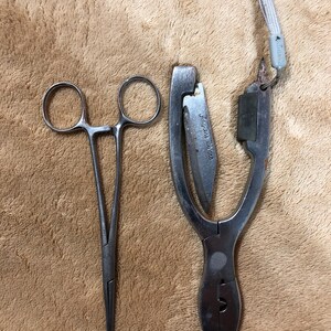 May include: Two silver metal tools, one is a pair of forceps with a pointed tip and the other is a pair of pliers with a small knife inside. The pliers have a loop at the top for attaching a lanyard.