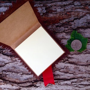 May include: A small, brown, leather-bound journal with a red ribbon bookmark. The journal is open and lying on a tree bark background. A silver coin is visible on a green leaf to the right of the journal.