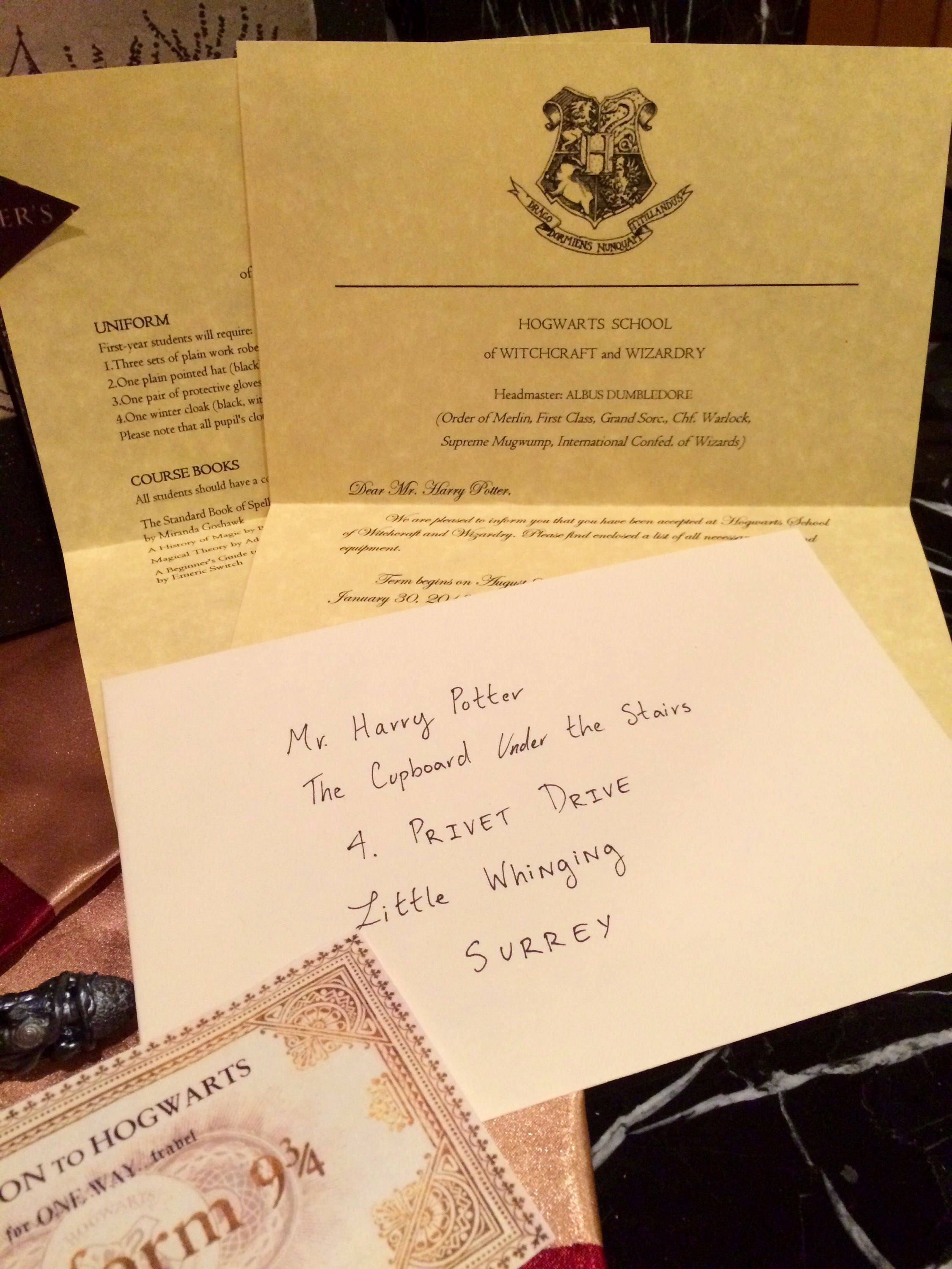 Ultimate Harry Potter Inspired Gift FREE HOLIDAY SHIPPING Etsy