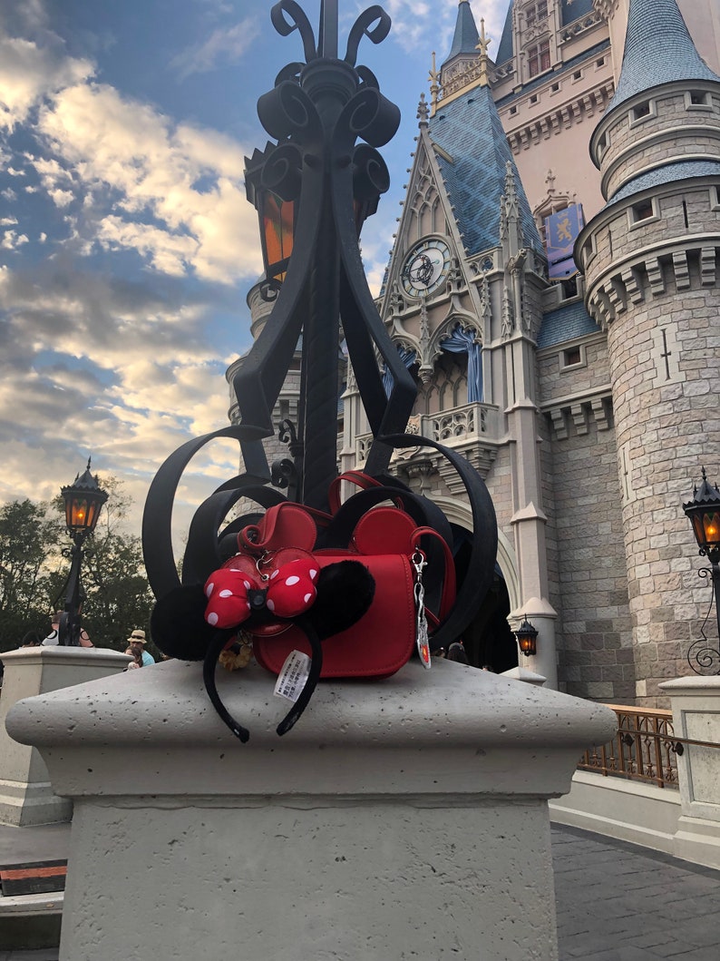 Disney Ears Holder..New Themed Choices....the perfect place when there off your head...