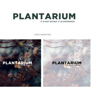 Pacchetto di branding, Identità del marchio, Pacchetto di design, Pacchetto di marketing, Progettazione del logo, Kit di branding, Identità aziendale